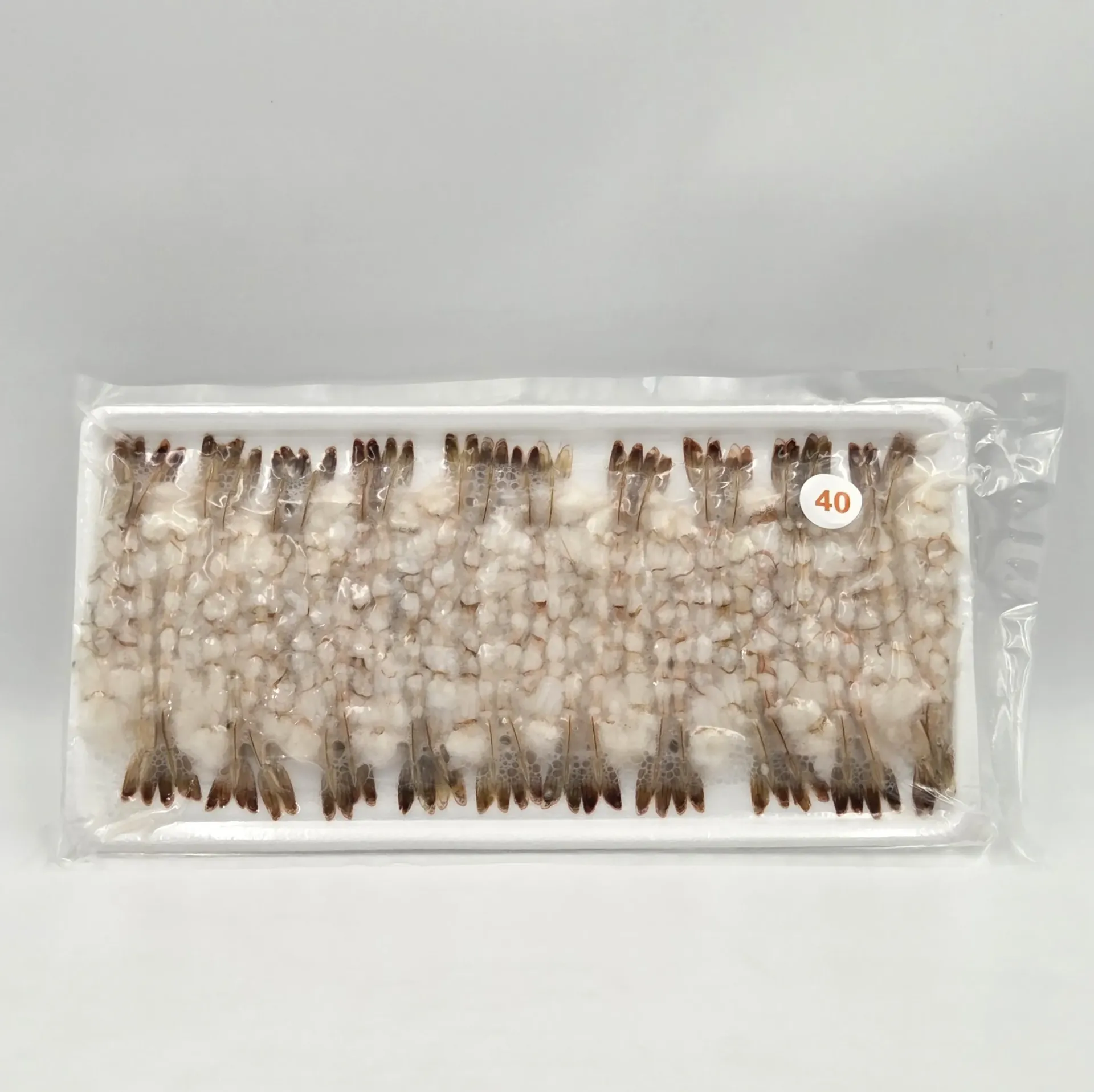 [10089] 노바시 40미(직수입) 300(g)pack*20